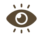 our-vision